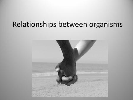 Relationships between organisms