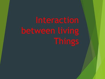 Interaction between living Things