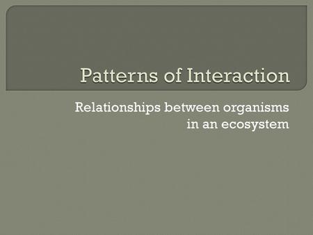 Patterns of Interaction