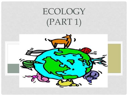 Ecology (part 1).