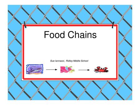 Food Chain A path of food consumption beginning with the sun. Example: