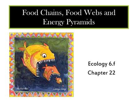 Food Chains, Food Webs and Energy Pyramids