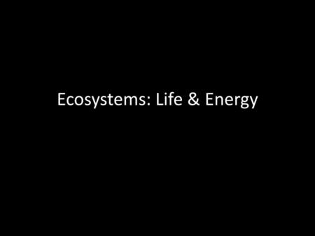 Ecosystems: Life & Energy