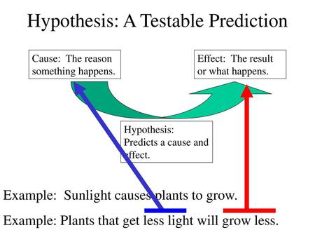 Hypothesis: A Testable Prediction