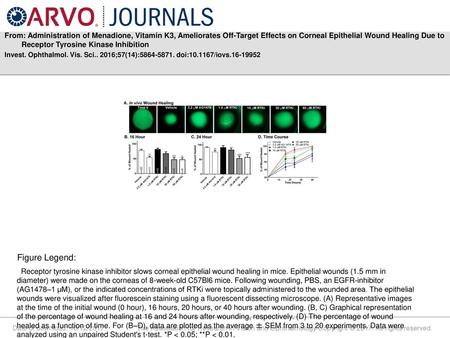 From: Administration of Menadione, Vitamin K3, Ameliorates Off-Target Effects on Corneal Epithelial Wound Healing Due to Receptor Tyrosine Kinase Inhibition.