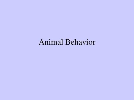 Animal Behavior.