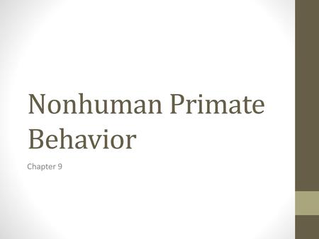 Nonhuman Primate Behavior