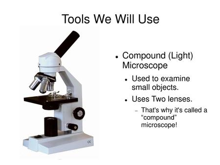 Tools We Will Use Compound (Light) Microscope