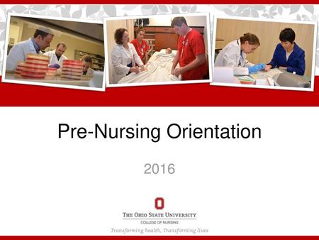 Pre-Nursing Orientation