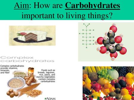 Aim: How are Carbohydrates important to living things?