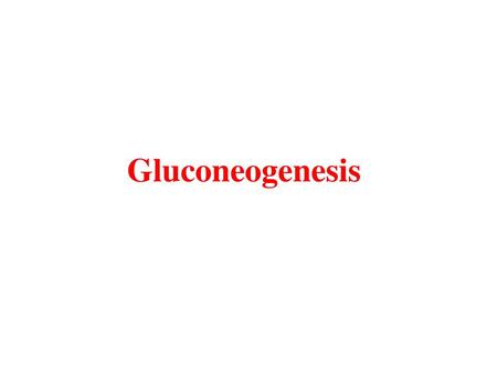 Gluconeogenesis.