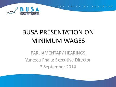 BUSA PRESENTATION ON MINIMUM WAGES