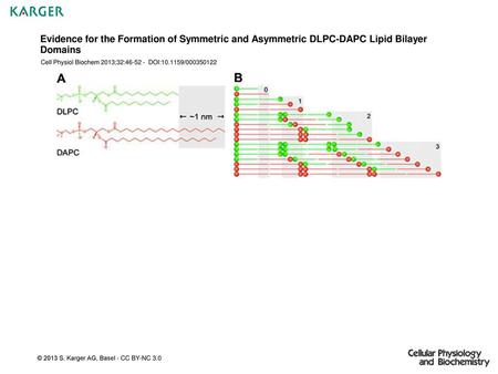 Cell Physiol Biochem 2013;32: DOI: /