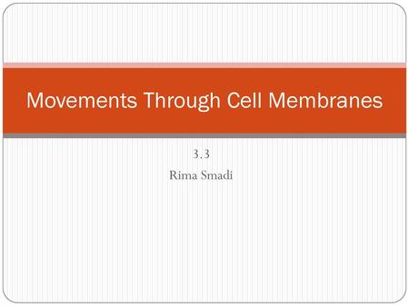 Movements Through Cell Membranes