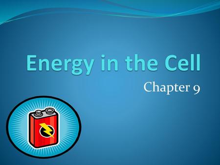 Energy in the Cell Chapter 9.