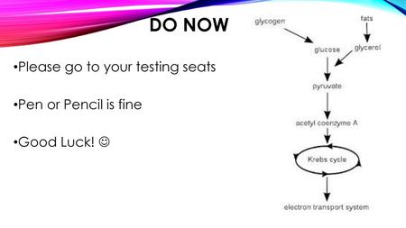 Do Now Please go to your testing seats Pen or Pencil is fine