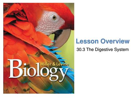 Lesson Overview 30.3 The Digestive System.