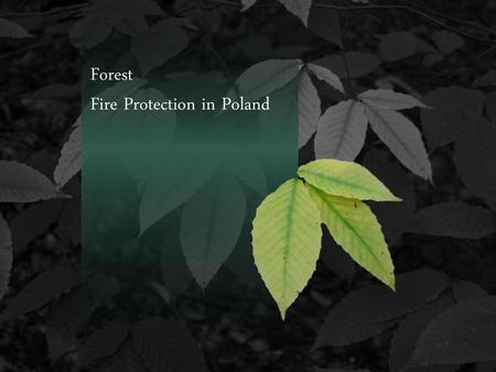 Forest  Fire Protection in Poland