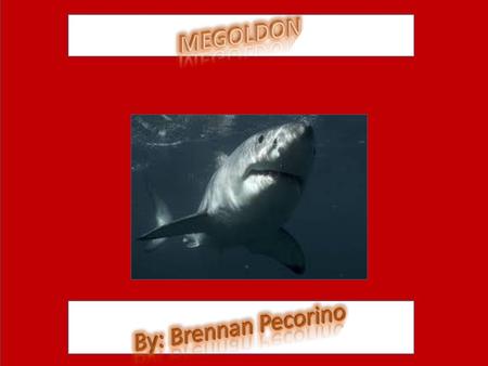 MEGOLDON By: Brennan Pecorino jnbbblhikhkbhkjbkulb