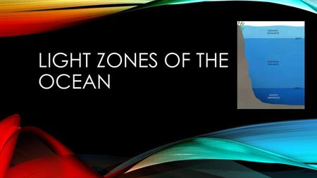 Light zones of the ocean