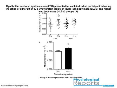 Myofibrillar fractional synthesis rate (FSR) presented for each individual participant following ingestion of either 20 or 40 g whey protein isolate in.