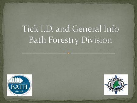 Tick I.D. and General Info Bath Forestry Division