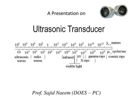 Prof. Sajid Naeem (DOES – PC)