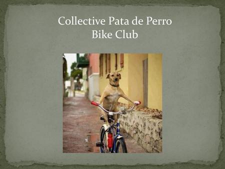 Collective Pata de Perro