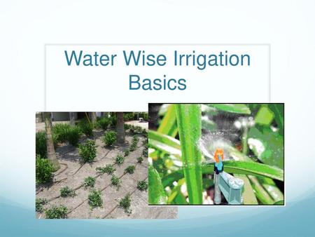 Water Wise Irrigation Basics