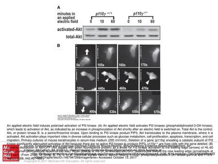 An applied electric field induces polarized activation of PI3 kinase