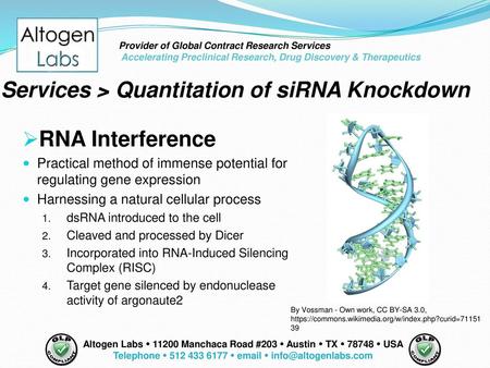 Telephone  512 433 6177  email  info@altogenlabs.com Provider of Global Contract Research Services Accelerating Preclinical Research, Drug Discovery.