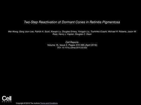 Two-Step Reactivation of Dormant Cones in Retinitis Pigmentosa