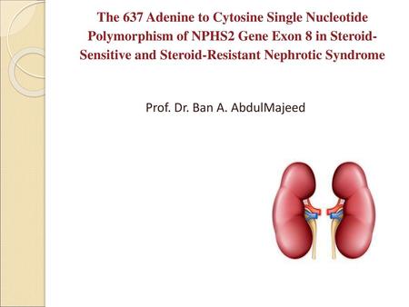 Prof. Dr. Ban A. AbdulMajeed