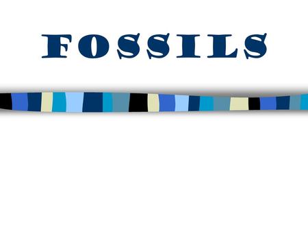 FOSSILS.