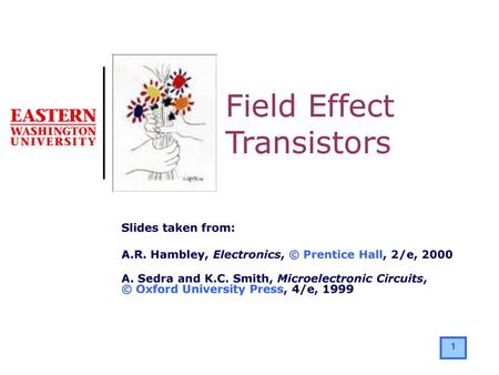 Field Effect Transistors