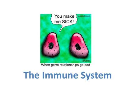 The Immune System.