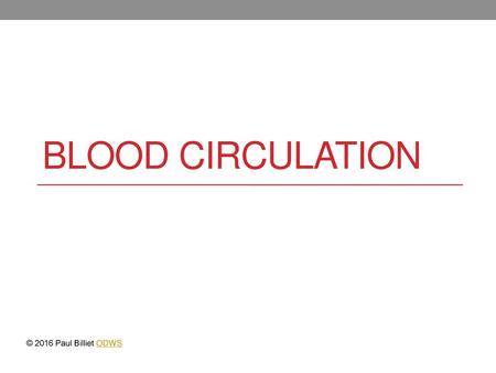 BLOOD CIRCULATION © 2016 Paul Billiet ODWS.