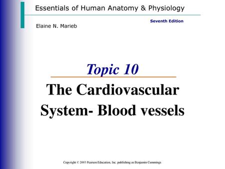 Topic 10 The Cardiovascular System- Blood vessels