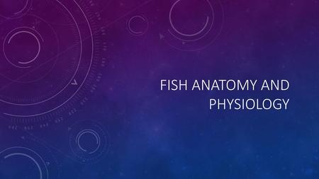 Fish anatomy and physiology