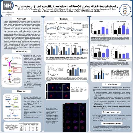 The effects of β-cell specific knockdown of FoxO1 during diet-induced obesity Oluwabukola A. Ajasa, Jennifer Fiori O’Connell, Michael Rouse, Adria Summers,