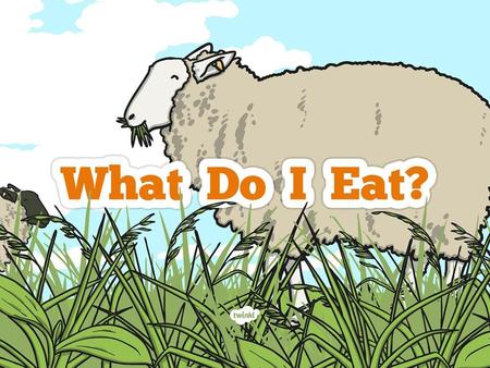 This week we are learning about what animals eat.