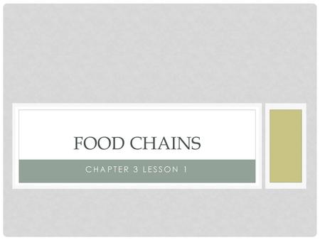 Food CHAINS Chapter 3 Lesson 1.