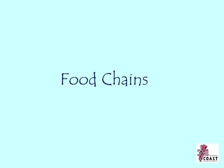 Food Chains.