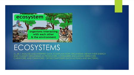 ECOSYSTEMS 5.L.4B.1 Analyze and interpret data to explain how organisms obtain their energy and classify organisms as producers, consumers (including.