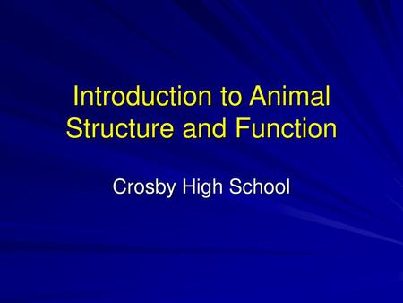 Introduction to Animal Structure and Function