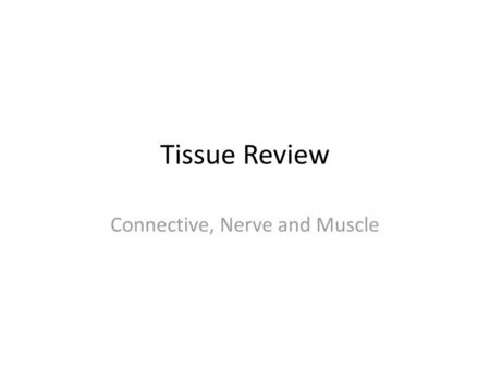 Connective, Nerve and Muscle