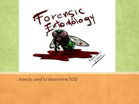 Insects used to determine TOD