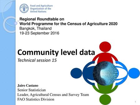 Community level data Technical session 15 Regional Roundtable on