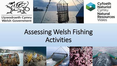 Assessing Welsh Fishing Activities