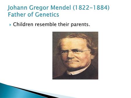 Johann Gregor Mendel ( ) Father of Genetics